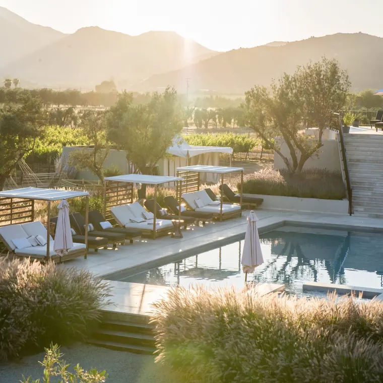 Andana, Valle de Guadalupe