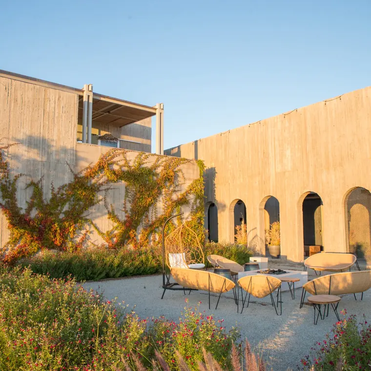 Andana, Valle de Guadalupe