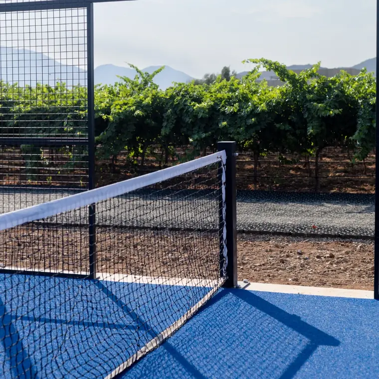 Andana, Valle de Guadalupe
