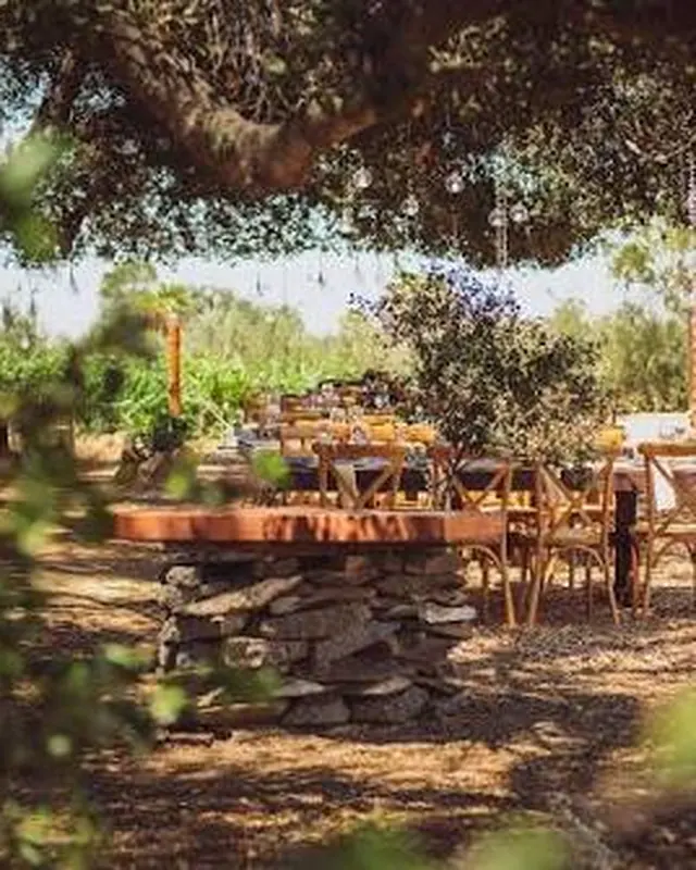 Róbleza · Viña Liceaga, Valle de Guadalupe